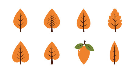 Obraz premium Autumn leaves and a single mango a colorful seasonal illustration