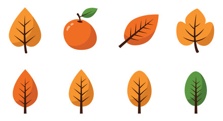 Collection of colorful autumn leaves and a single ripe mango fruit