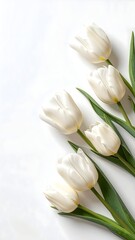 Gentle Tulip Arrangement Flowers Abstract Vertical Mobile Phone Background Wallpaper