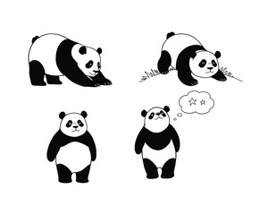 Obraz premium Four charming hand drawn illustrations of giant pandas in different playful and cute poses on a white background