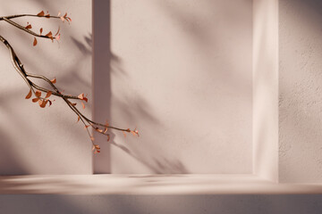 Fototapeta na wymiar Minimal interior room with plant decor and sunlight shadow on wall. Autumn background for natural beauty and cosmetic product display mockup. Realistic 3d render
