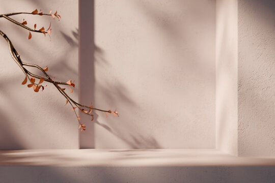 Minimal interior room with plant decor and sunlight shadow on wall. Autumn background for natural beauty and cosmetic product display mockup. Realistic 3d render