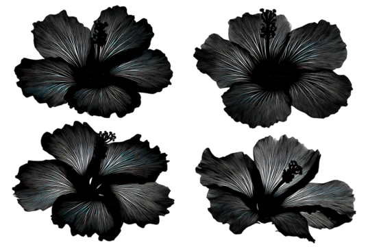 Abstract Flower-like Animal Paw Prints on Black Background - Powered by Adobe