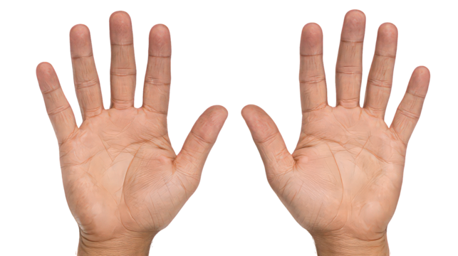 Two Hands Open Palms Upward on Transparent Background