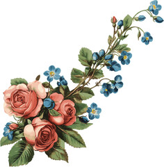 a pink rose and blue forget-me-nots corner design clipart, white background, vintage style