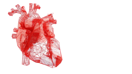 Detailed Red Human Heart 3D Model on Transparent Background