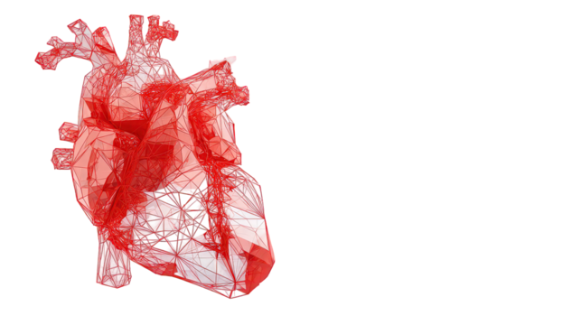 Detailed Red Human Heart 3D Model on Transparent Background