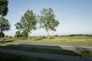 Dutch landscape with meadow farmland field and road in the front foreground.