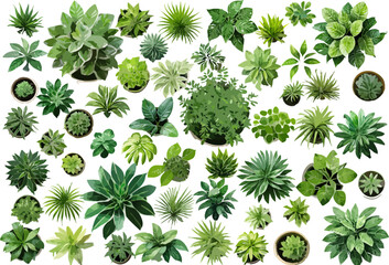 Top of view architectural variety of trees vector illustration collection