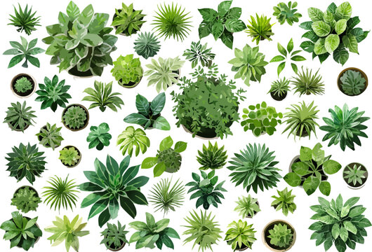 Top of view architectural variety of trees vector illustration collection