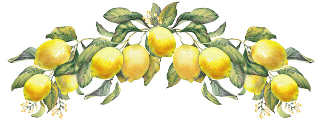 Lemon fruit branches. Horizontal wreath inspired by the timeless Mediterranean aesthetic of the Amalfi Coast. Perfect for summer-themed prints, packaging, textiles, kitchen decor, and coastal design