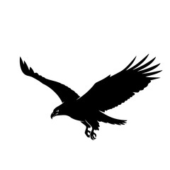 Flying Eagle Silhouette