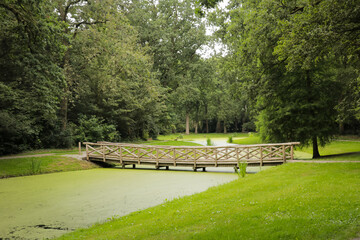 Rustic wood bridge crossing water in recreational forest park, with peaceful green trees and grass field to explore, hike and adventure. Wooden pedastrian bridge.