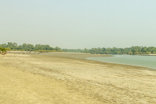 Golden hour light serene tidal flat, with wet sand on sea beach - Powered by Adobe