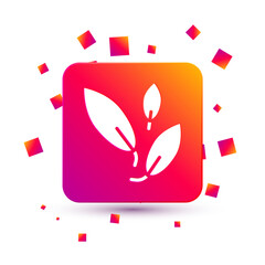 White Tea leaf icon isolated on white background. Tea leaves. Square color button. Vector