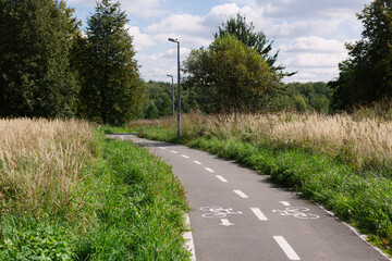 Asphalt road in urban park with white bicycle sign, permission for cyclists to ride a bicycle on the road. Summer green grass and fields in the background. top view