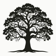Obraz premium Big Oak Silhouette Vector