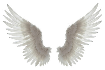Obraz premium Angelic white feathered wings isolated on transparent background, symbolic of spirituality, freedom, and divinity