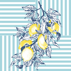 Line art vector illustration of a lemon fruit branch with leaves, placed on a classic blue striped background. Inspired by the timeless Mediterranean aesthetic of the Amalfi Coast. Perfect for summer