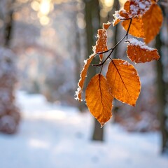 Winter's golden leaves
