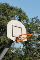 Outdoor basketball hoop with backboard and rim, standing against green trees in nature background, summer sports and recreation concept. Vertical portrait photo.
