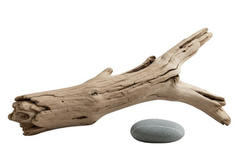 Obraz premium Intricately textured driftwood branch and smooth cool grey river stone on transparent background, soft studio lighting. Concept of natural textural contrast