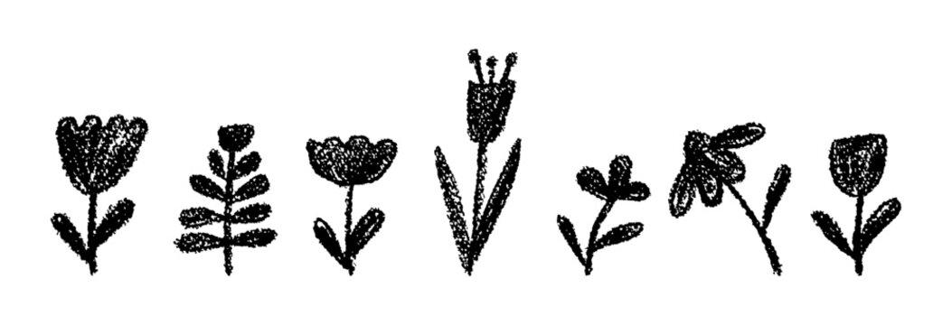 Vector flower collection of chamomile, harebell, and tulip drawn in wax crayon with charcoal squiggle lines. Black flowers for school or kindergarten chalkboard stylet for girl bedroom decoration.