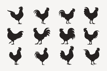 set of rooster vector