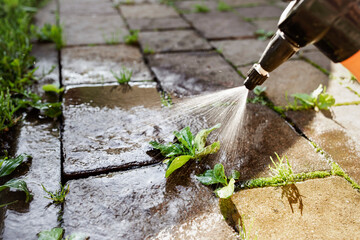 Weeds Killer Spray in Paving Slab Blocks. Spraying Weed Grass in Patio Path. 
