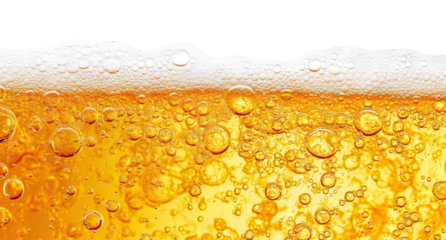 Fresh golden beer with foamy bubbles, isolated on transparent cutout background