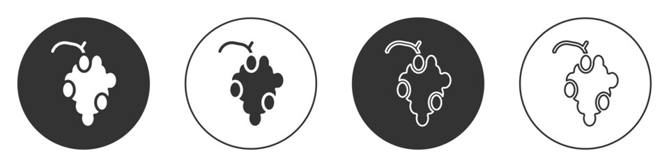 Black Grape fruit icon isolated on white background. Circle button. Vector