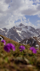 mountain peak in Almaty in spring 