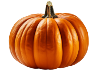 Zucca matura su sfondo bianco