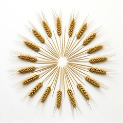 Obraz premium Wheat Stalks Arranged in Circular Design on White Background