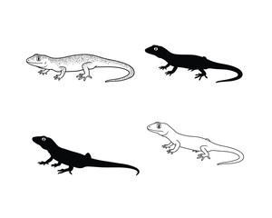 Four stylized illustrations of geckos in outline and silhouette showcasing different poses and perspectives on a white background