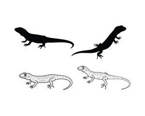 Black silhouette and detailed line drawing of two geckos in dynamic poses on a white background