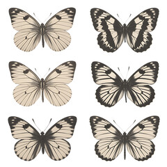 Naklejka premium Six monochrome butterflies arranged in two columns