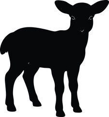 sheep vector, livestock illustration 