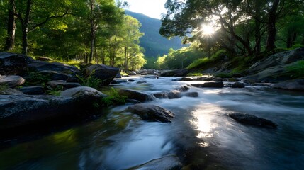 Tranquil mountain stream flowing through lush green forest with soft sunlight and gentle ripples, perfect for nature, travel and peaceful outdoor projects