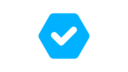 Blue check mark filled tick icon, approve correct success symbol vector