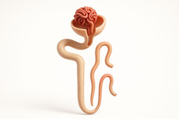 3D render of a neuron network inside a kidney nephron diagram
