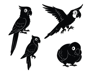 Four stylized black silhouette parrots in different poses against a white background vector illustration