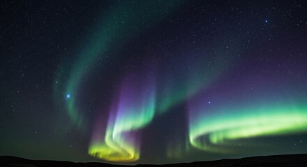 Aurora borealis dances across a starlit sky