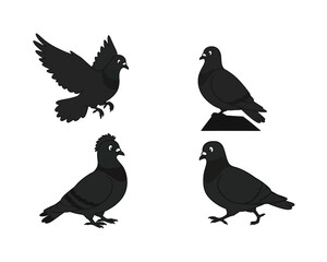 Four black silhouette pigeons in different poses showing wings flying standing perched on rock and walking