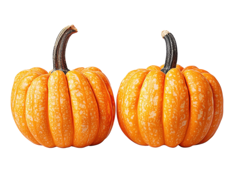 Vibrant Orange Pumpkins with Distinctive Ridges on a Black Background, Perfect for Autumn Décor and Seasonal Harvest Celebrations on transparent background
