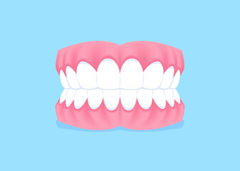 Full mouth teeth - Normal illustration vector design. Dental care concept.