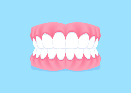 Full mouth teeth - Normal illustration vector design. Dental care concept.