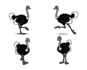 Four distinct cartoon illustrations of ostriches in various dynamic poses and movements on a white background