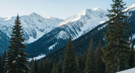 Obraz premium Snowy mountain peaks, dark evergreen forest