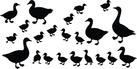 Duck silhouette set, flying ducks, walking ducks, bird outline, waterfowl illustration, duck icons, black vector, animal shapes, nature wildlife
